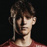 Matthias Hollerer
