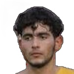 Mahan Alipour