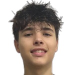Vinicius Figueiredo Salles