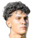 Pedro Paulo Schiavon Cipola