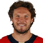 Dmitry Kulikov