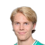 Boris Vidlund