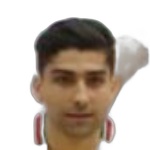 Mahdi Karimi