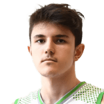 Can Cevikel