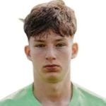 Karlo Mijo Šimić