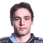 Jan Hladonik