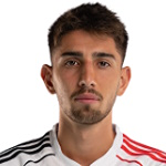 Demir Ege Tıknaz