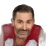 Domien Loubry