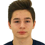 Karlo Pavlinić