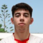 João Miguel  Gonçalves