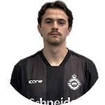 Henrique Ferrarini