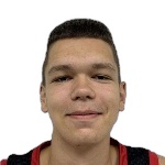 Dino Mehic