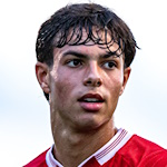 Rafael Luiz