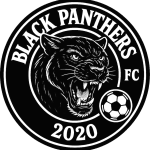 Black Panthers 2020