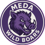 Meda