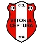 Team