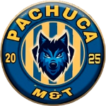 Pachuca M&T