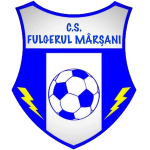 Team
