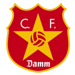 Team