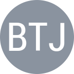 Brazda T / Janostik J