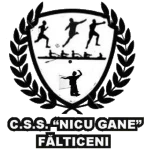 CN Nicu Gane Fălticeni U19