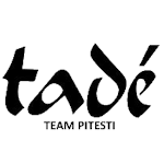 Team