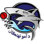 Amo Sharks