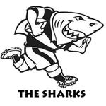 The Sharks Xv