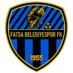 Team