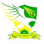 TJ Sokol Brezovička
