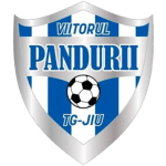 Viitorul Pandurii Târgu Jiu II