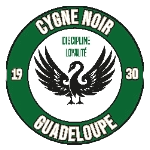 Cygne Noir