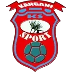 Team