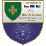 Team
