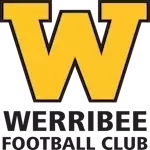 Werribee Tigers