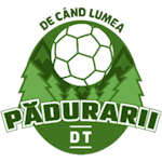 Pădurarii DT