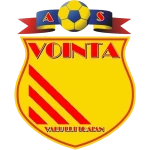 Team