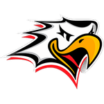 Vaasan Sport U20
