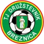 Tj Druzstevnik Breznica