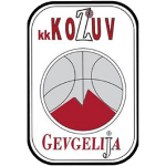 Team