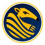 Tamanduás FC