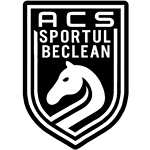 ACS Sportul Beclean
