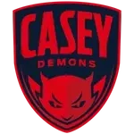 Casey Demons