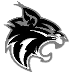 Wildcats U18