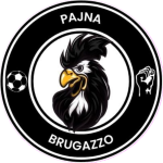 Paina