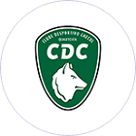 CD Checul
