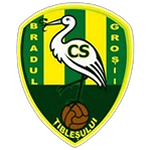 CS Bradul Groșii Țibleșului U19