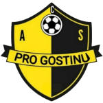 Team