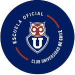Universidad de Chile Zona Sur