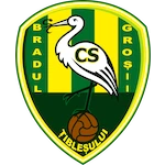 CS Bradul Groșii Țibleșului